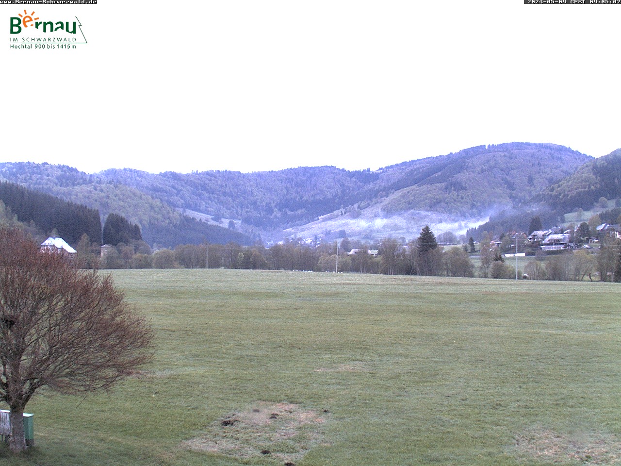 Webcam Bernau im Schwarzwald